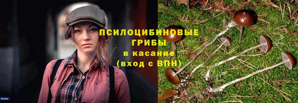 шишки Алексеевка