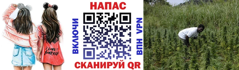 хочу наркоту маркетплейс Telegram МАРИХУАНА AK-47 Каменка